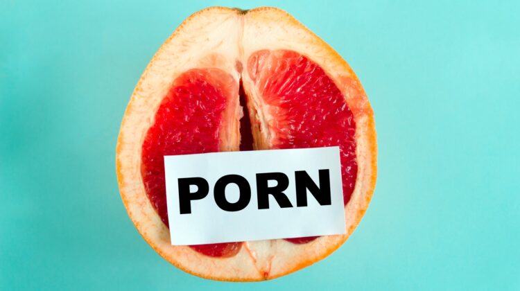 Diese US Staaten haben Pornhub jetzt blockiert